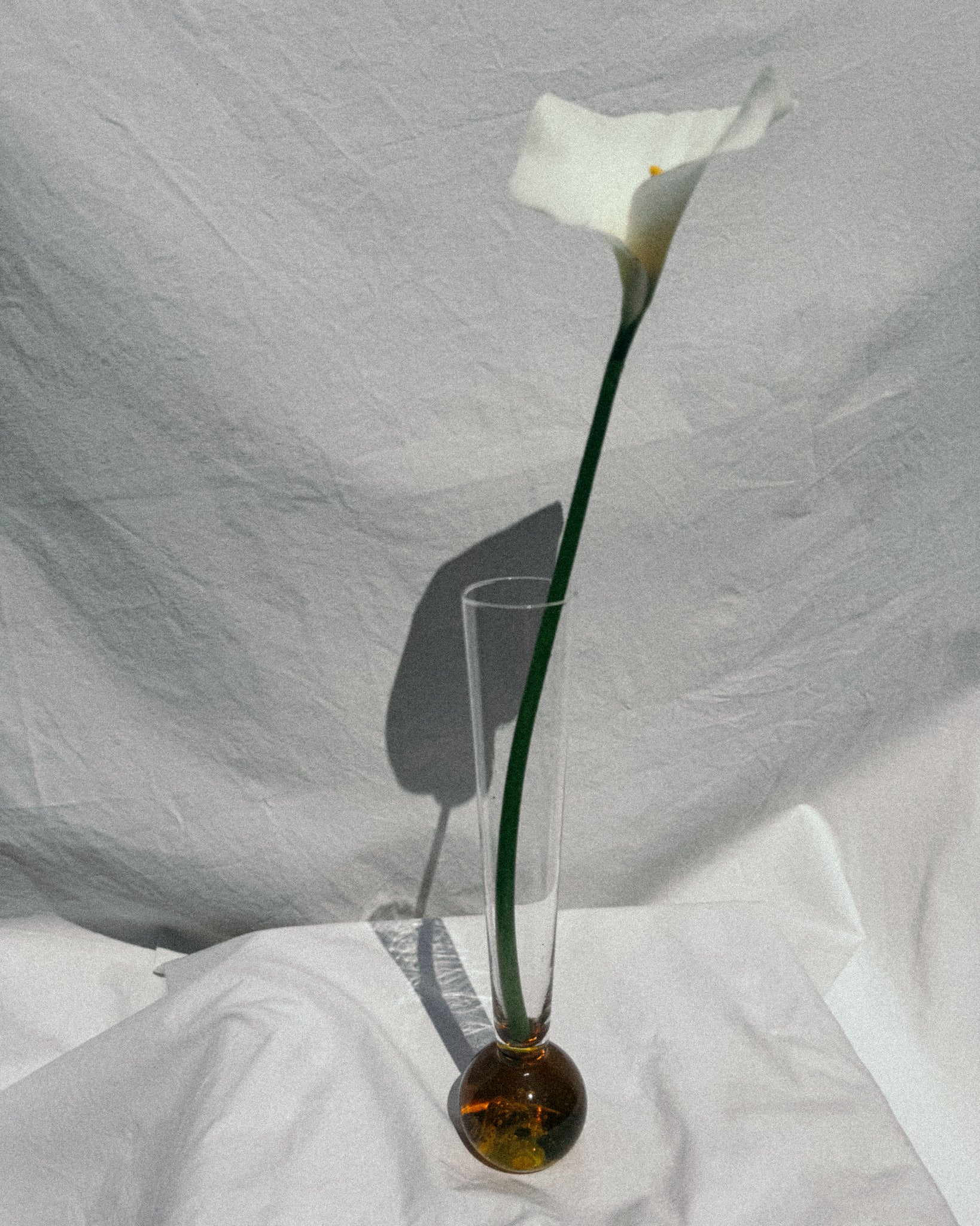 schmale Vase – Some Souvenirs