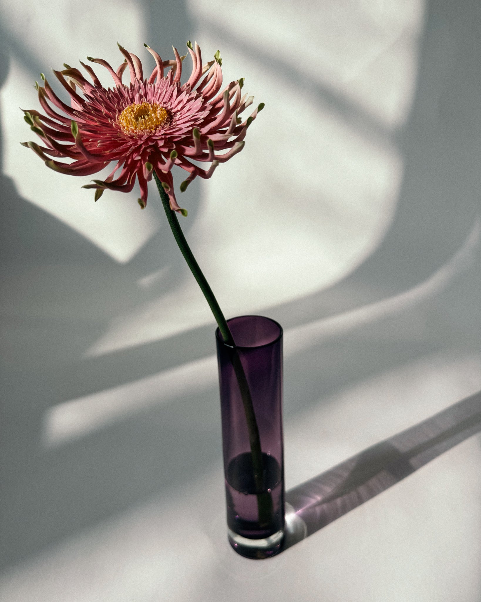 Lila Glas Vase