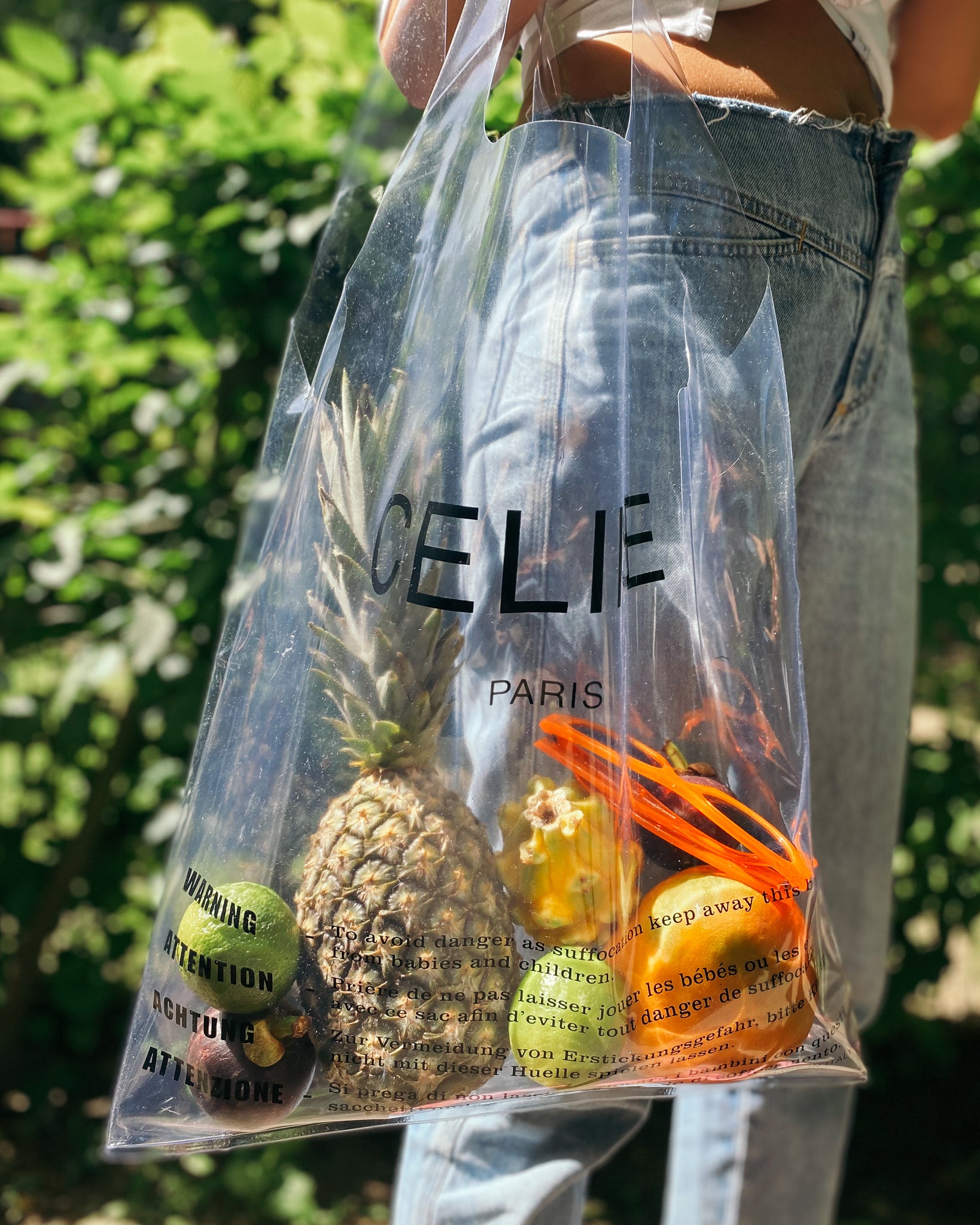 Celine Plastic Shopper